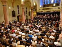 Geiger 16.7.2016 501